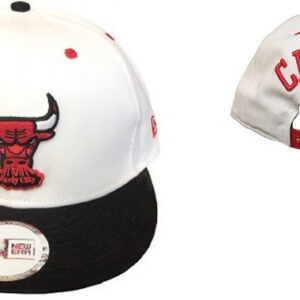 Chicago Bulls 005
