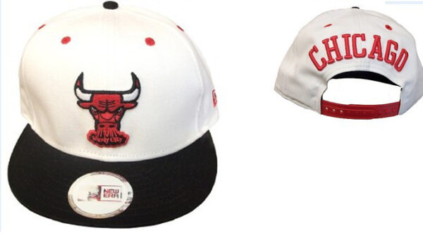 Chicago Bulls 005