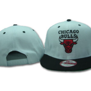 Chicago Bulls 006