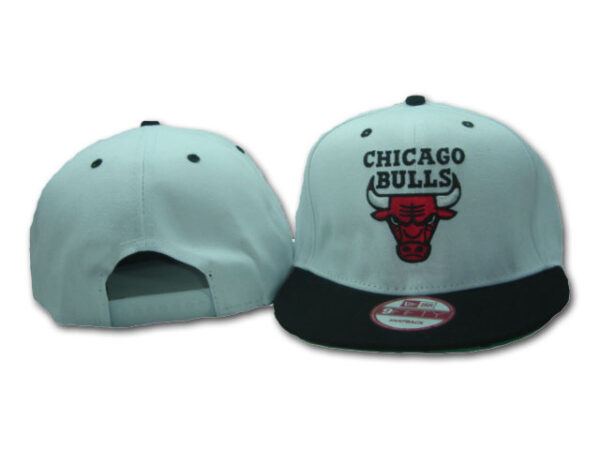 Chicago Bulls 006