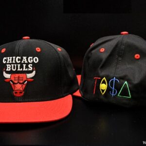 Chicago Bulls 010