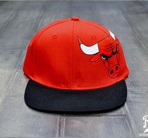 Chicago Bulls 016