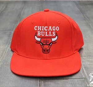 Chicago Bulls 018