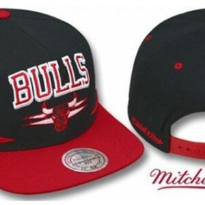 Chicago Bulls 020