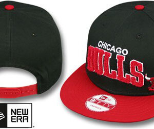Chicago Bulls 022