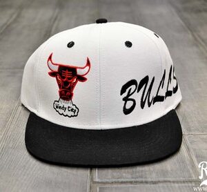 Chicago Bulls 023