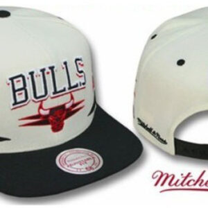 Chicago Bulls 024