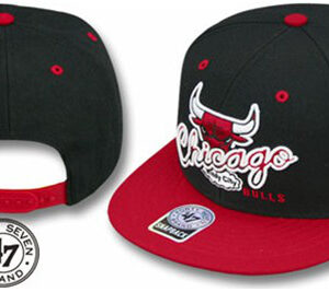 Chicago Bulls 025