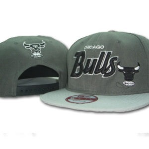 Chicago Bulls 026