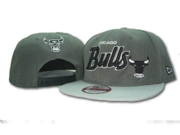 Chicago Bulls 026
