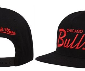 Chicago Bulls 027