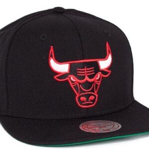 Chicago Bulls 028