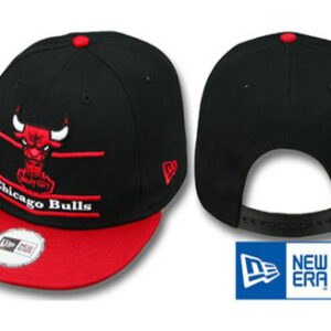 Chicago Bulls 029