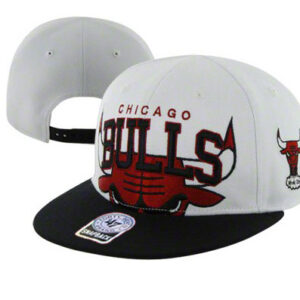 Chicago Bulls 031