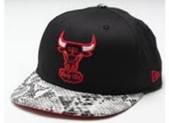 Chicago Bulls 033