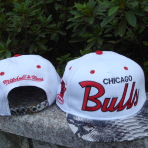 Chicago Bulls 034