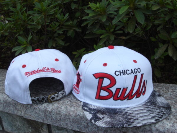 Chicago Bulls 034