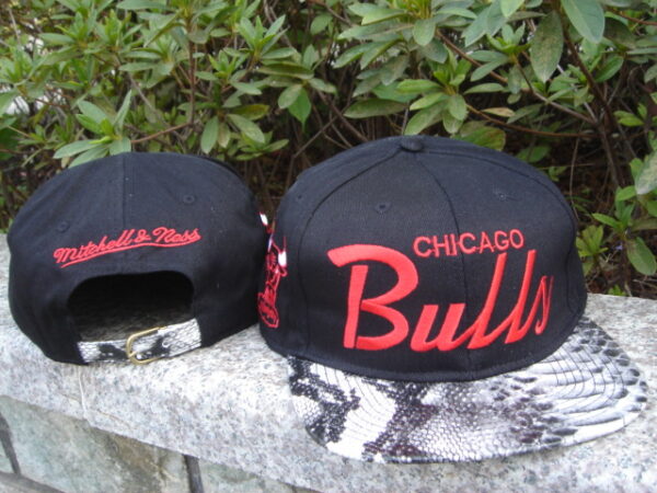 Chicago Bulls 035