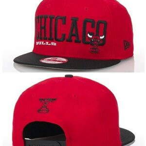 Chicago Bulls 036