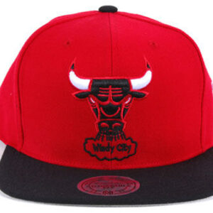 Chicago Bulls 038