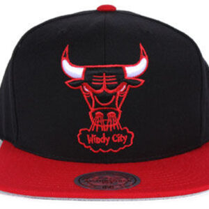 Chicago Bulls 039