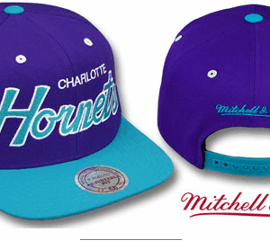 New Orleans Hornets 001