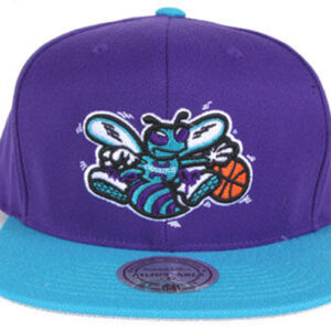 New Orleans Hornets 003