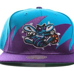 New Orleans Hornets 005