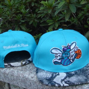 New Orleans Hornets 011