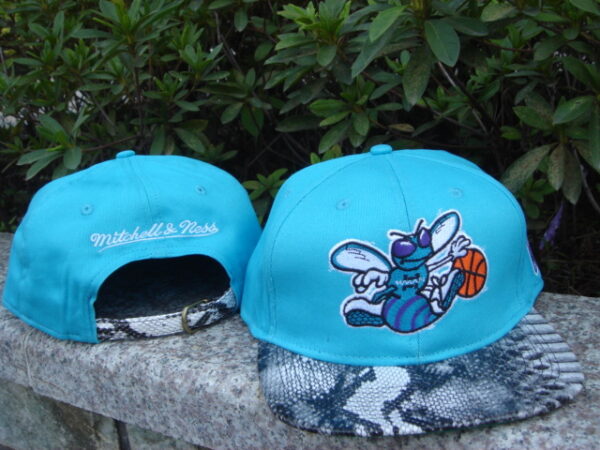 New Orleans Hornets 011