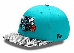 New Orleans Hornets 015