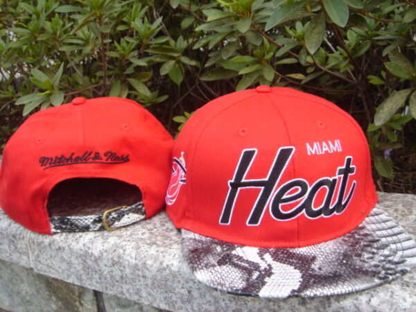 Miami Heat 010