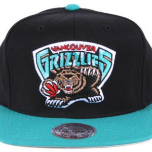 Memphis Grizzlies 005