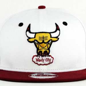 Chicago Bulls 040