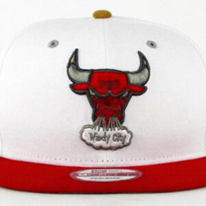 Chicago Bulls 042