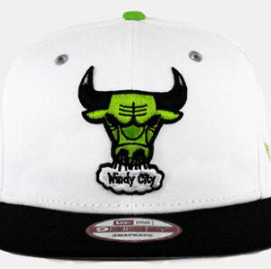 Chicago Bulls 044