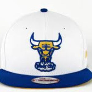 Chicago Bulls 041