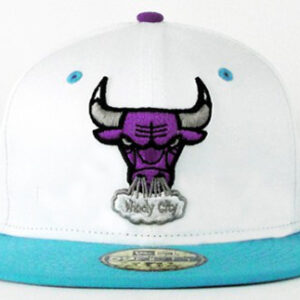 Chicago Bulls 043