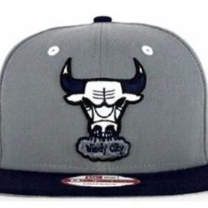 Chicago Bulls 049
