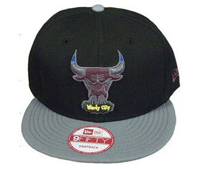 Chicago Bulls 053