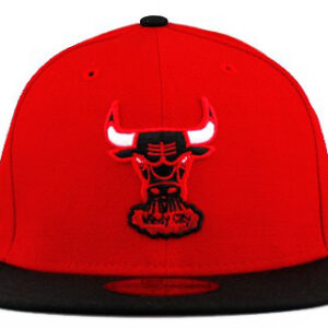 Chicago Bulls 046