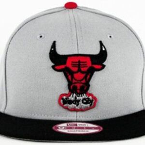 Chicago Bulls 047