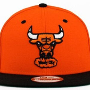 Chicago Bulls 052