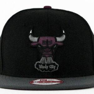 Chicago Bulls 054