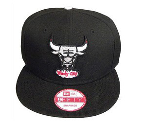 Chicago Bulls 055