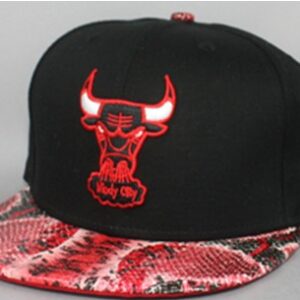 Chicago Bulls 057