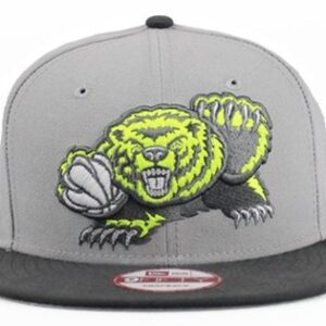 Memphis Grizzlies 011