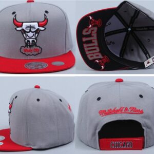Chicago Bulls 065