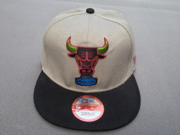 Chicago Bulls 067