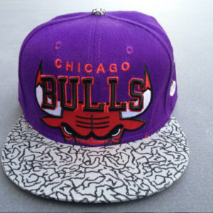 Chicago Bulls 068